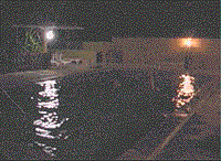 Animation - wait please!