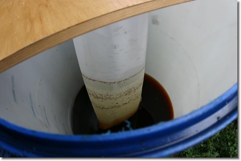 Letztes Bild erreicht