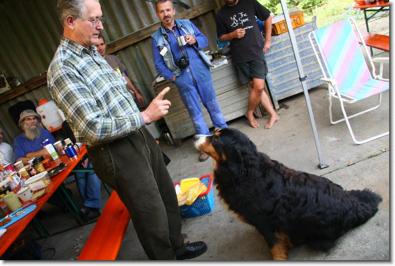 Letztes Bild erreicht