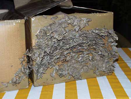 Weggerissener Karton