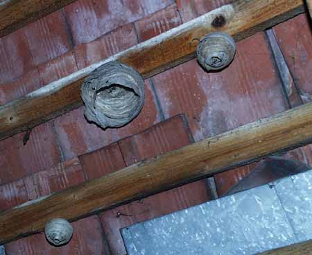 Weggerissener Karton