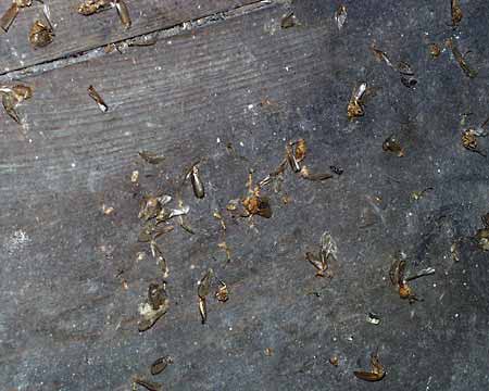 Weggerissener Karton